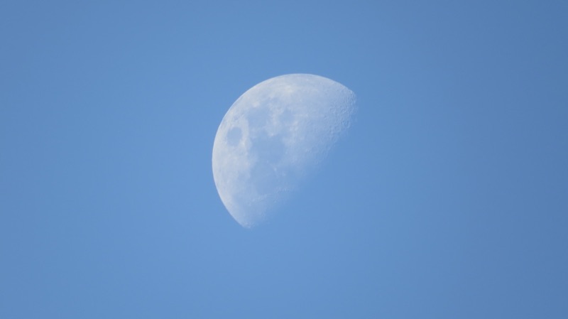 A half-lit moon in a daytime blue sky