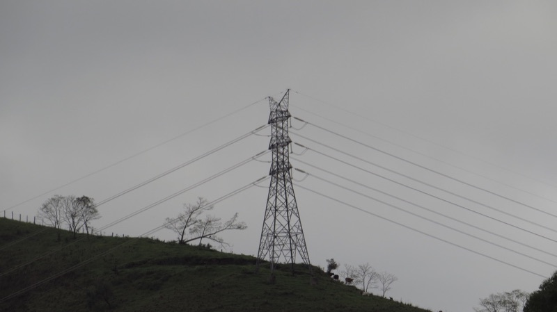 A transmission tower on a hillside under an overcast sky, cattle grazing below